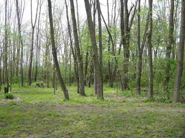 7661 East Clifton Road Albany, IN 47320 - Photo 23 of 30 Gallery Image 23