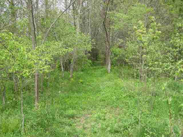 7661 East Clifton Road Albany, IN 47320 - Photo 29 of 30 Gallery Image 29