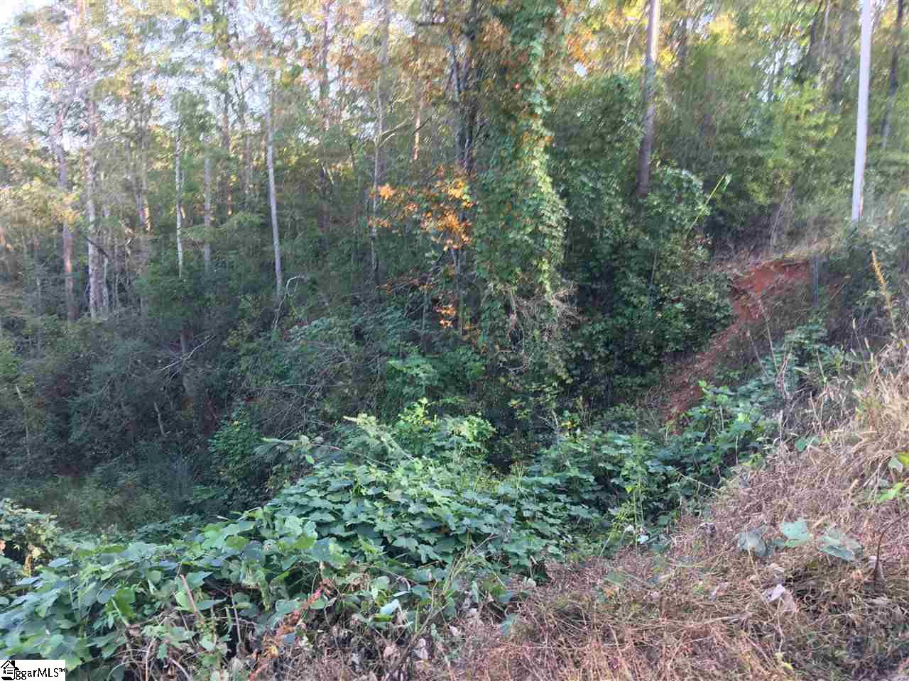 Unity Church Road Westminster, SC 29693 - Photo 6 of 7 The area of the property closest to Mitchell Long Rd is sloped with trees.