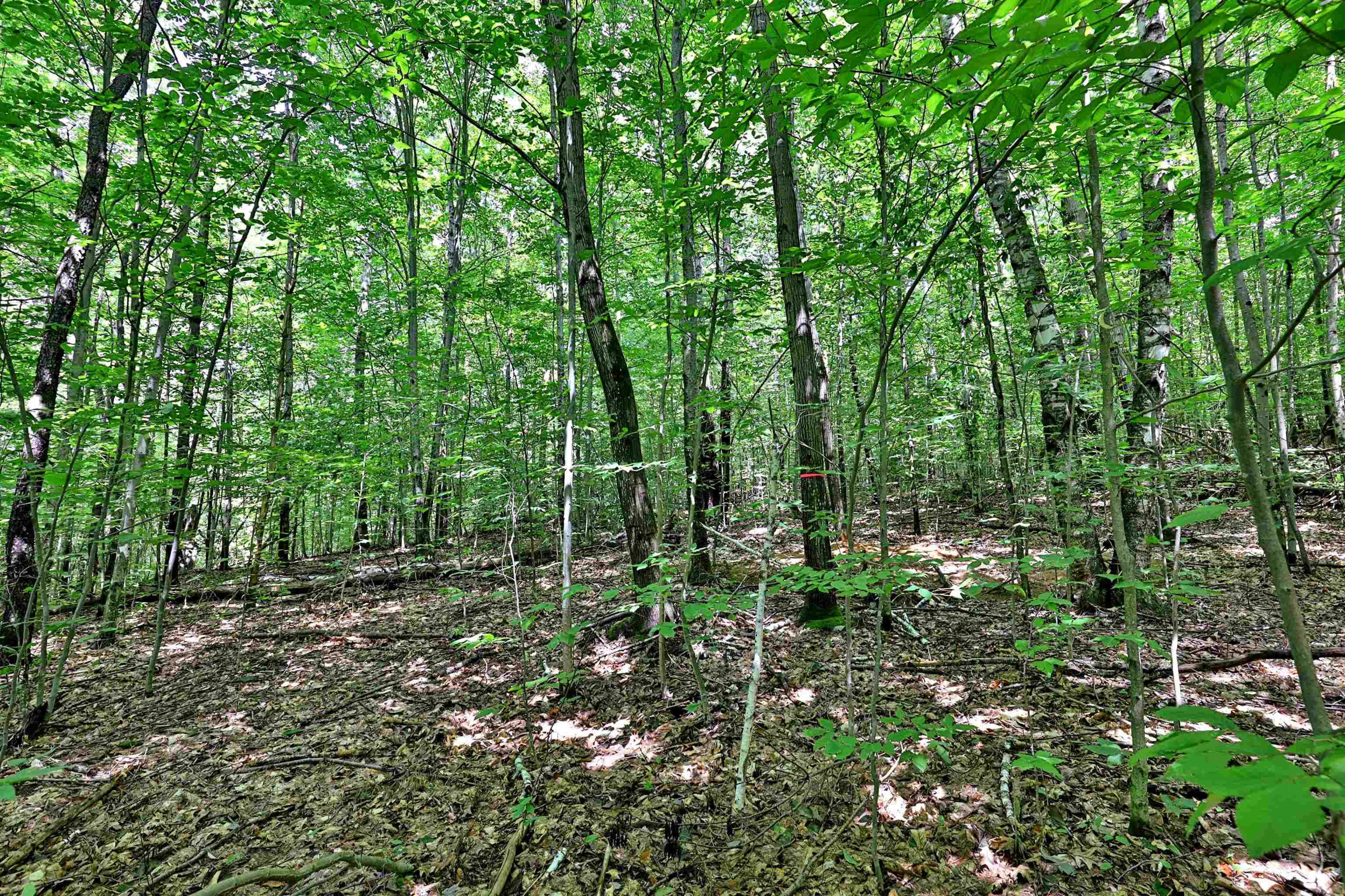 0 White Pne Hill, Unit 2 Rutland, VT 05701 - Photo 11 of 21