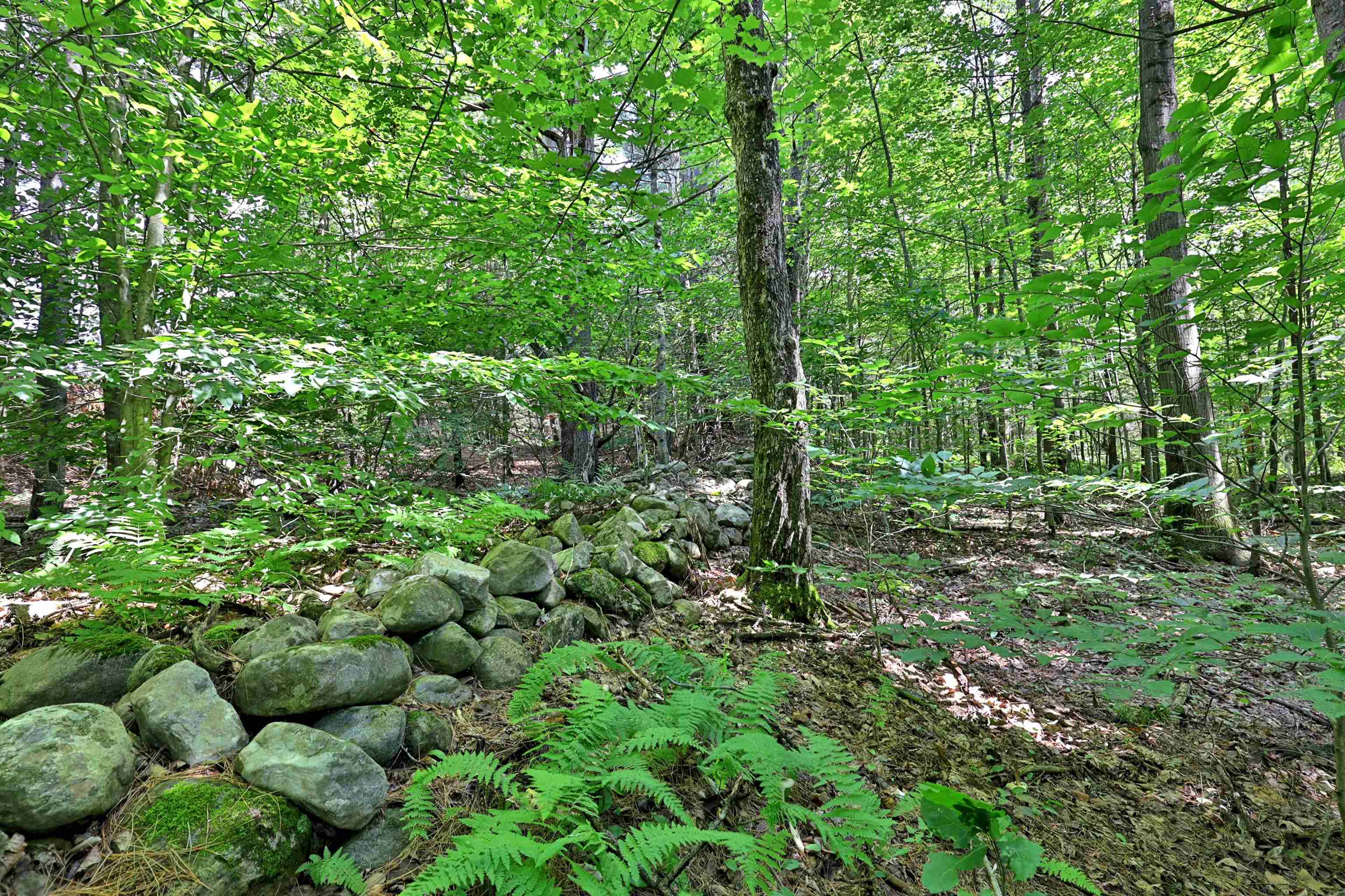 0 White Pne Hill, Unit 2 Rutland, VT 05701 - Photo 7 of 21