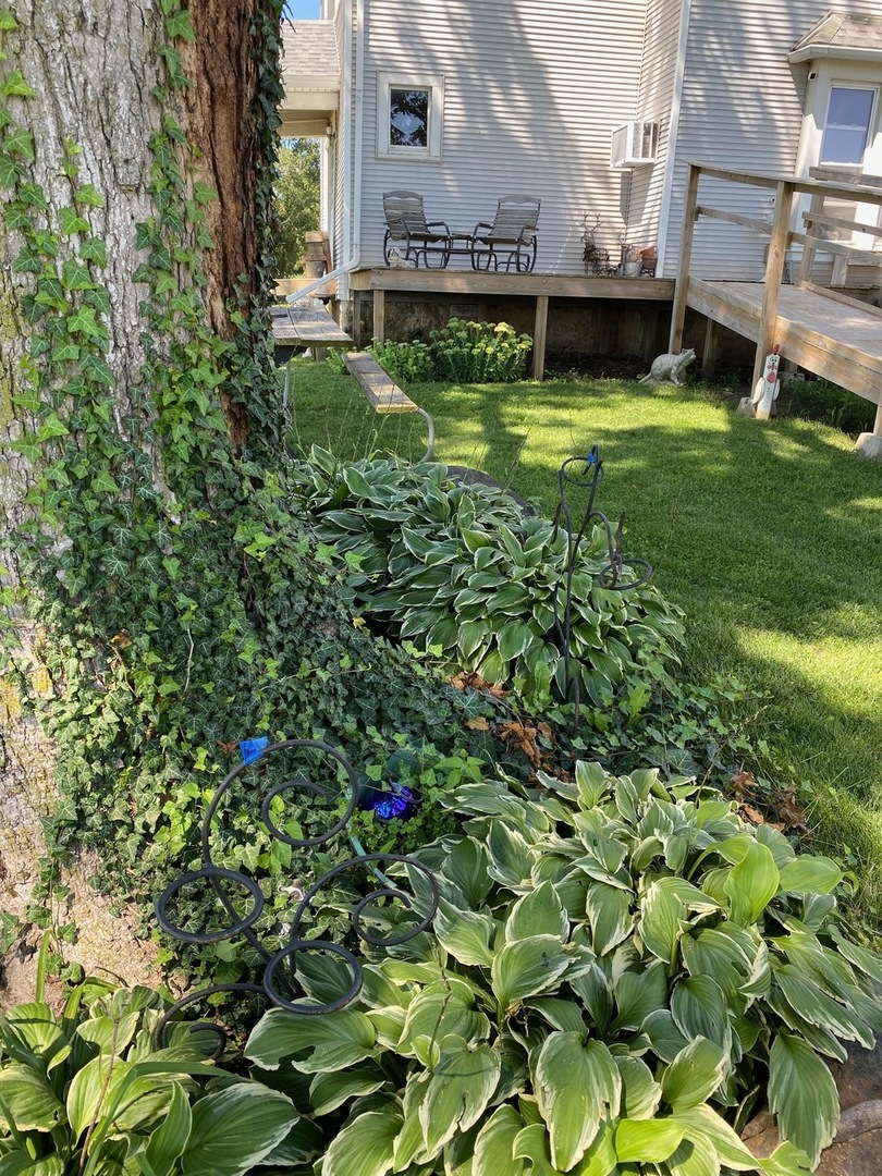 752 Lievan Road Dixon, IL 61021 - Photo 34 of 35