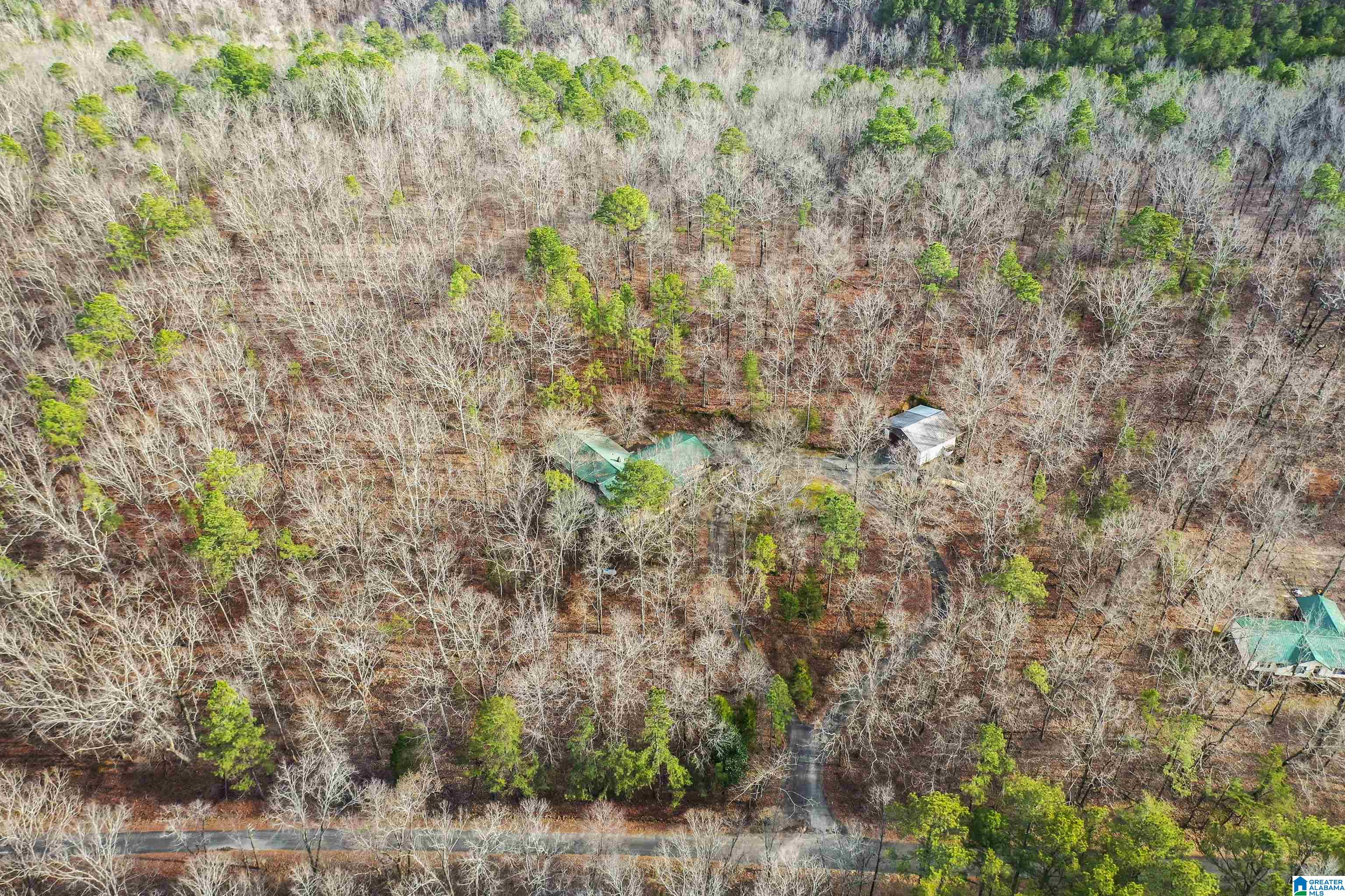 488 Oak Ridge Road Odenville, AL 35120 - Photo 51 of 61