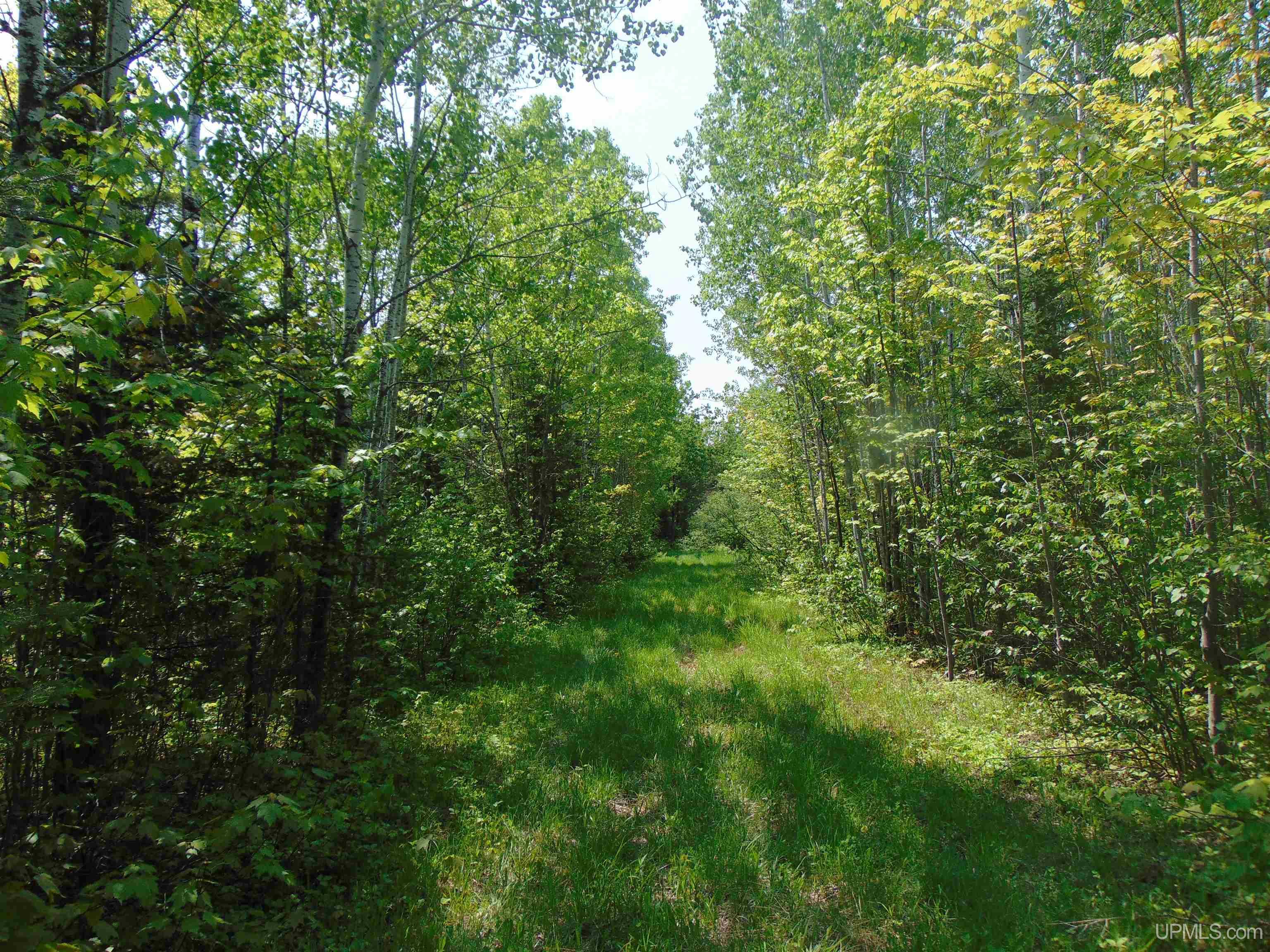 1 Larson Road Bruce Crossing, MI 49912 - Photo 27 of 34