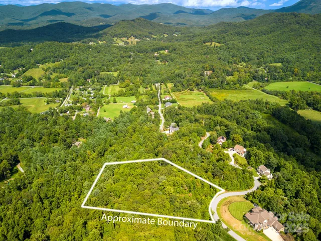 a view of a swimming pool with a garden