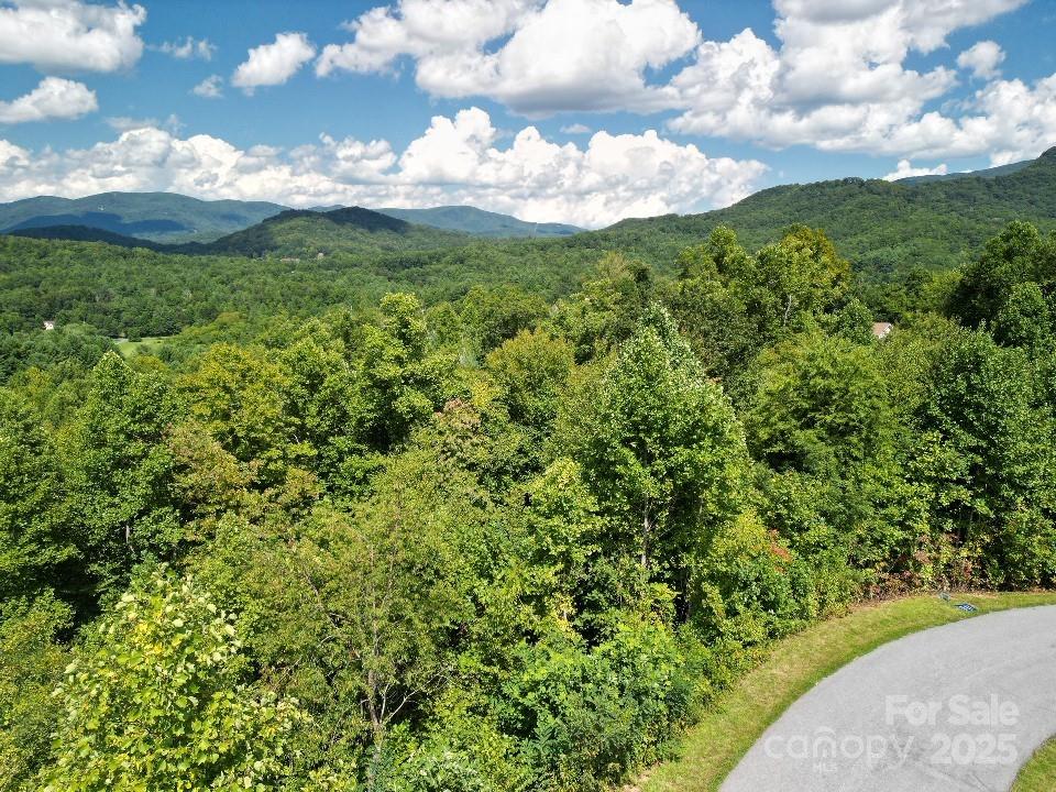 117 Sovereign Lane Fairview, NC 28730 - Photo 12 of 41 a view of a big yard with lots of green space