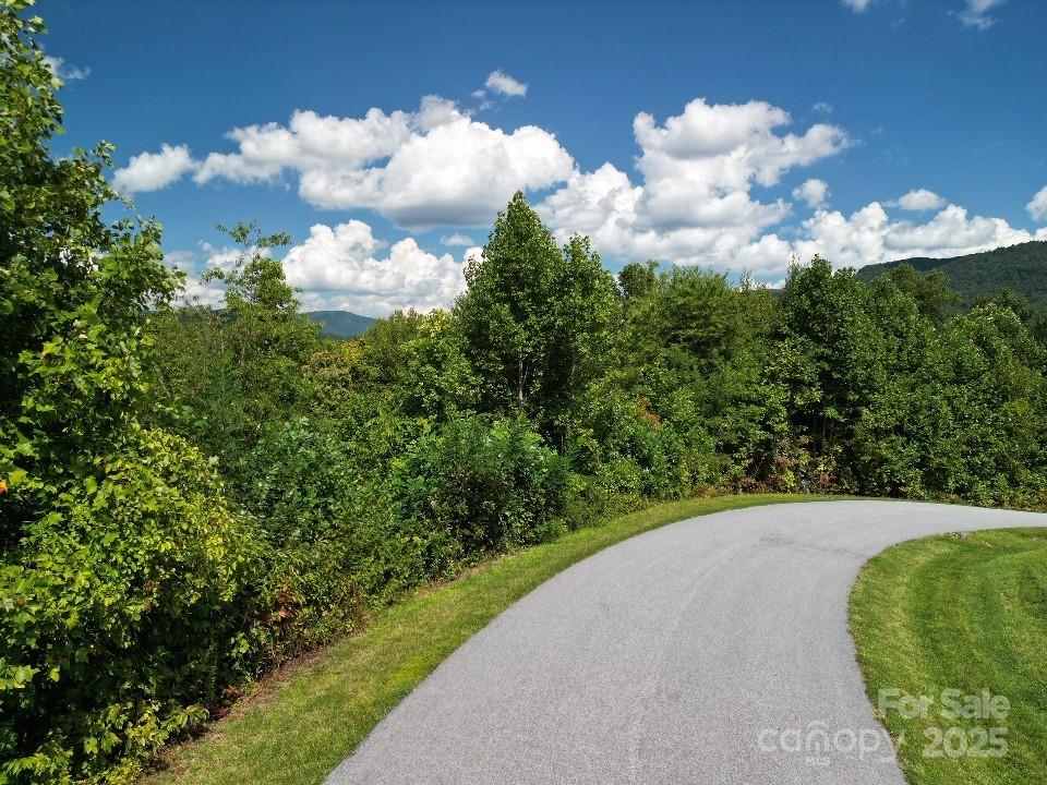 117 Sovereign Lane Fairview, NC 28730 - Photo 13 of 41 a view of a flower in a garden