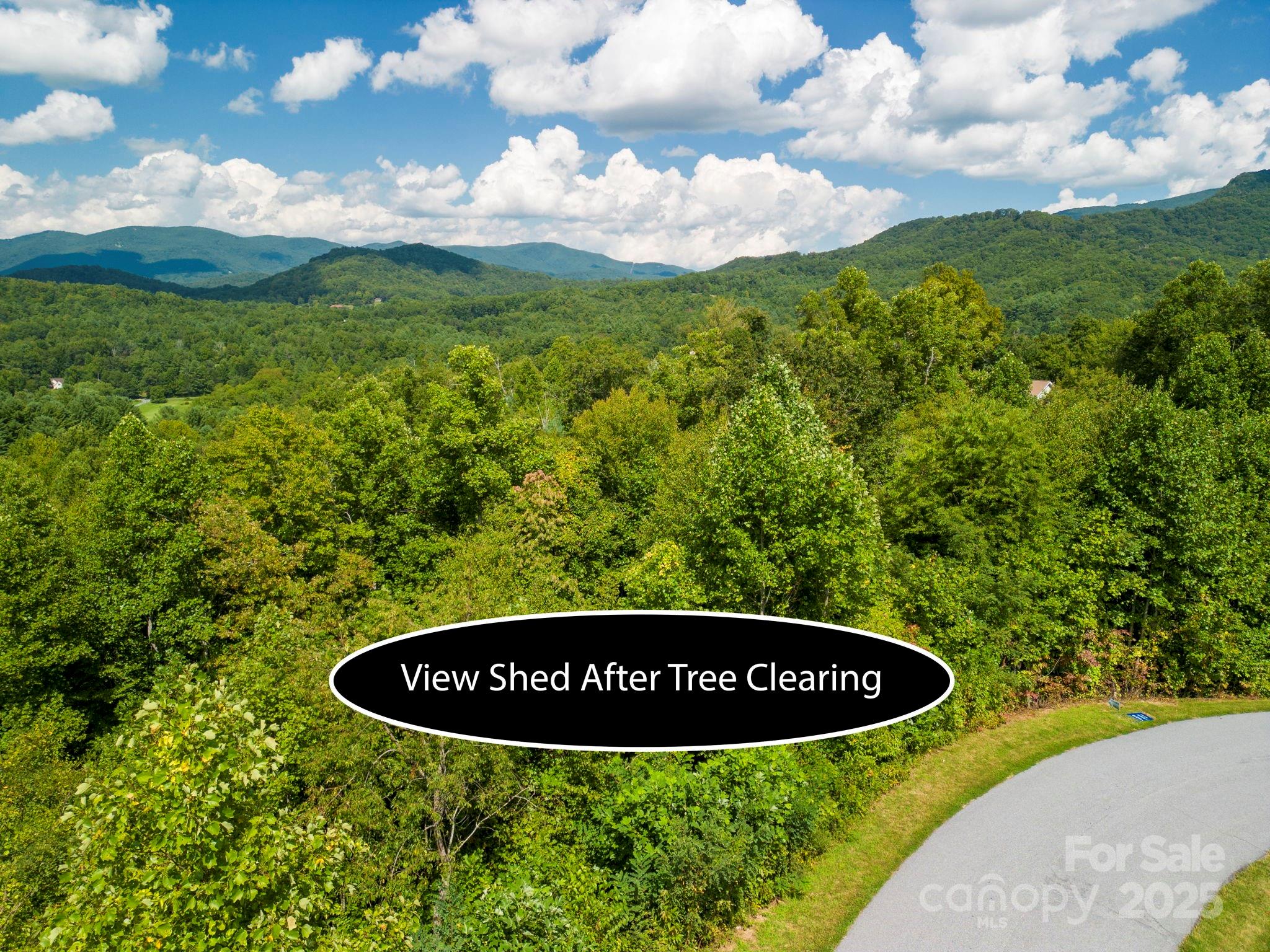 117 Sovereign Lane Fairview, NC 28730 - Photo 2 of 41 a view of a swimming pool with a garden