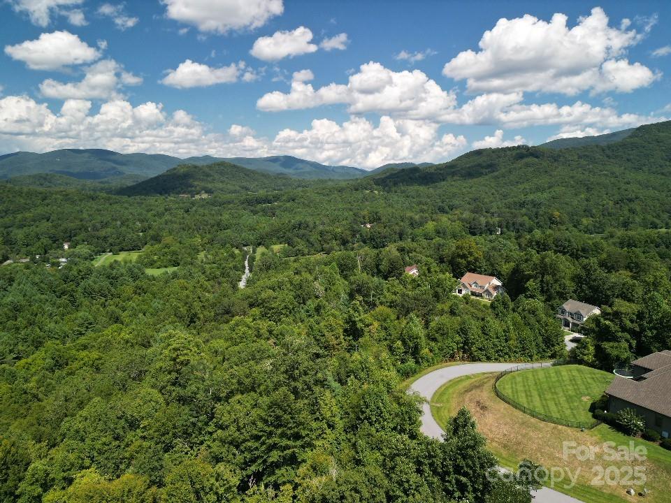117 Sovereign Lane Fairview, NC 28730 - Photo 21 of 41 a view of a city with lots of trees