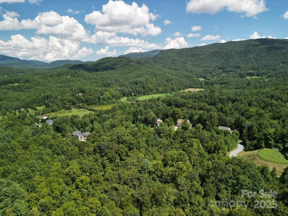 117 Sovereign Lane Fairview, NC 28730 - Photo 22 of 41 a view of a city and lush green forest