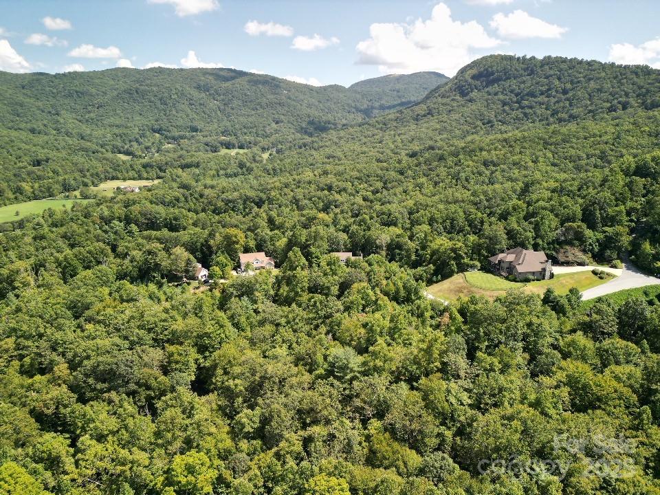 117 Sovereign Lane Fairview, NC 28730 - Photo 23 of 41 a view of a lush green hillside and houses
