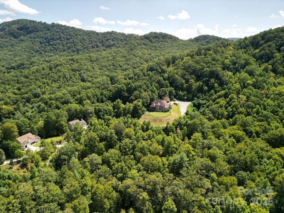 117 Sovereign Lane Fairview, NC 28730 - Photo 24 of 41 a view of a house with a mountain in the background