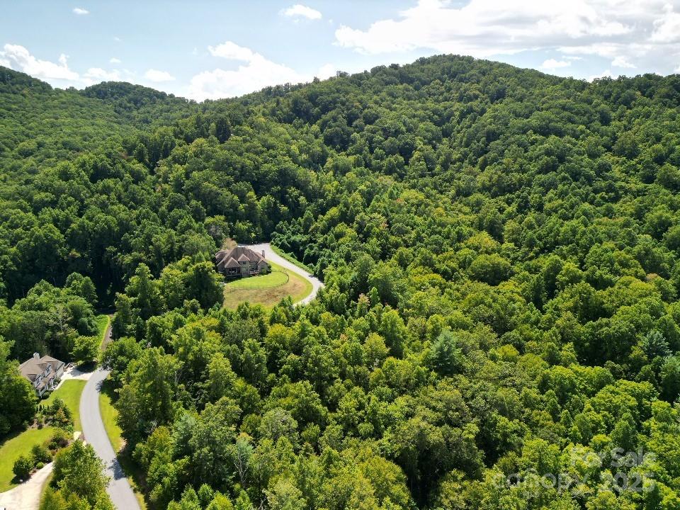 117 Sovereign Lane Fairview, NC 28730 - Photo 25 of 41 a aerial view of a house with a lush green forest