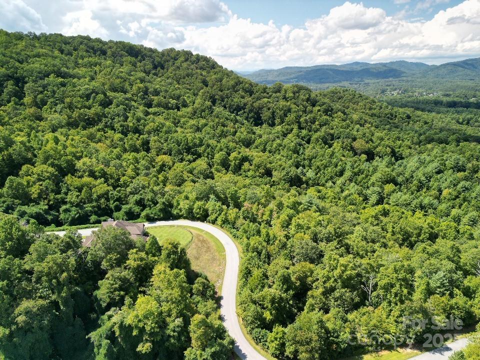 117 Sovereign Lane Fairview, NC 28730 - Photo 27 of 41 a view of a garden with plants
