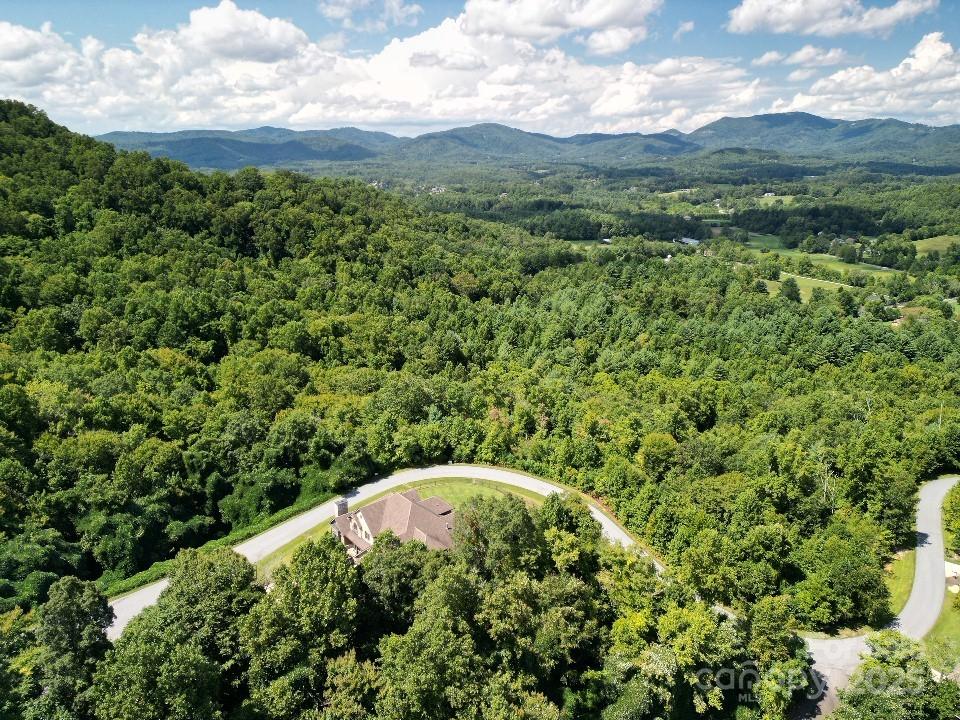 117 Sovereign Lane Fairview, NC 28730 - Photo 28 of 41 a view of a bunch of trees and bushes