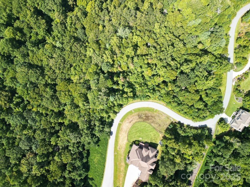 117 Sovereign Lane Fairview, NC 28730 - Photo 31 of 41 a close up of a plant in a garden