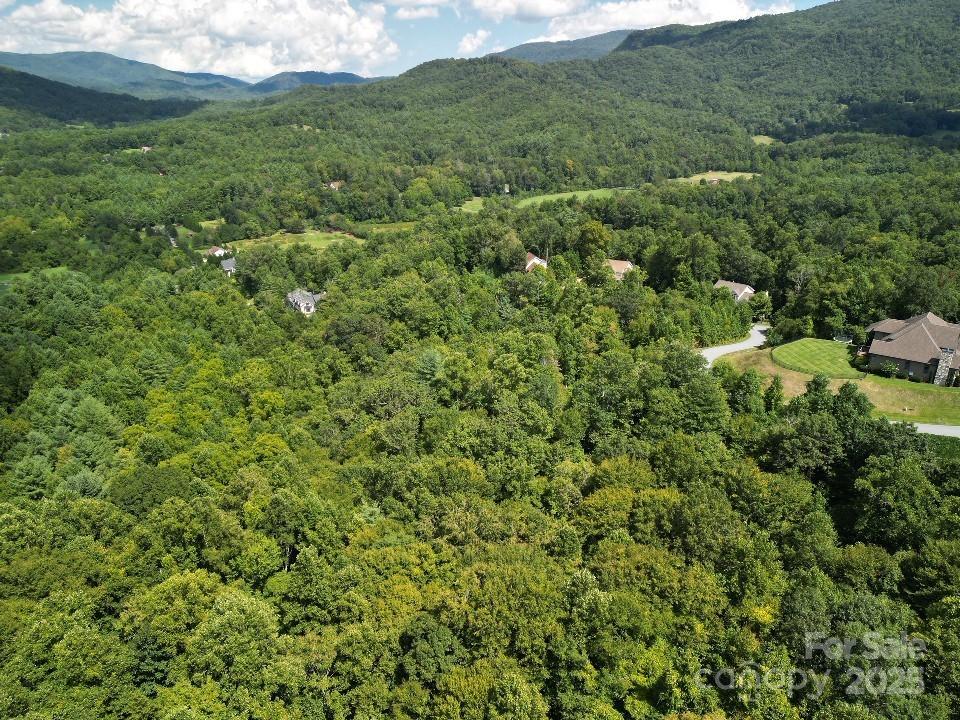 117 Sovereign Lane Fairview, NC 28730 - Photo 33 of 41 a view of a lush green forest with lots of trees