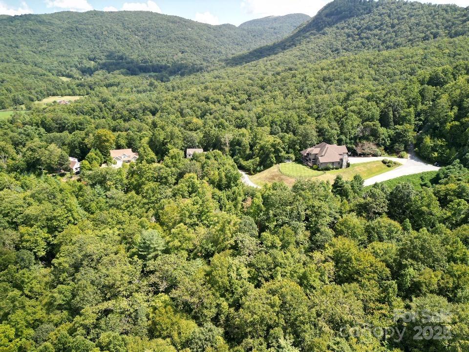117 Sovereign Lane Fairview, NC 28730 - Photo 34 of 41 a view of a forest with a street