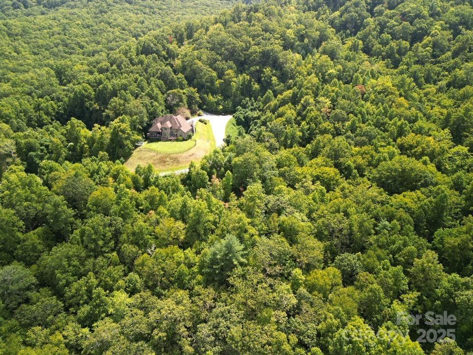 117 Sovereign Lane Fairview, NC 28730 - Photo 35 of 41 a view of a yard with plants and tree