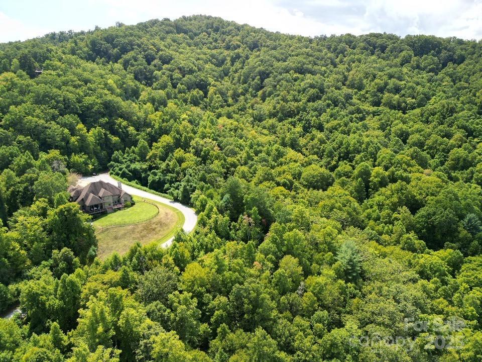 117 Sovereign Lane Fairview, NC 28730 - Photo 36 of 41 a view of a field with a tree