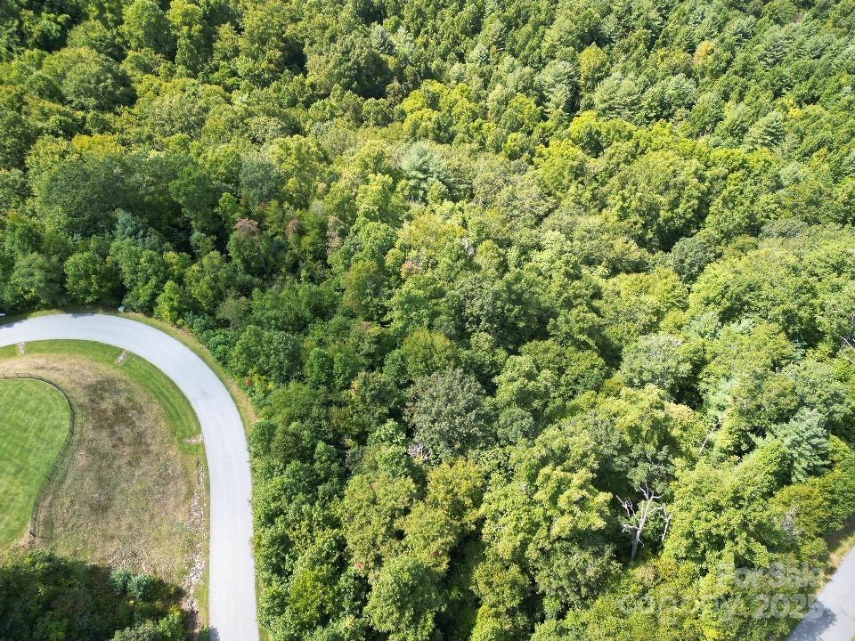 117 Sovereign Lane Fairview, NC 28730 - Photo 38 of 41 a view of a multi story yard