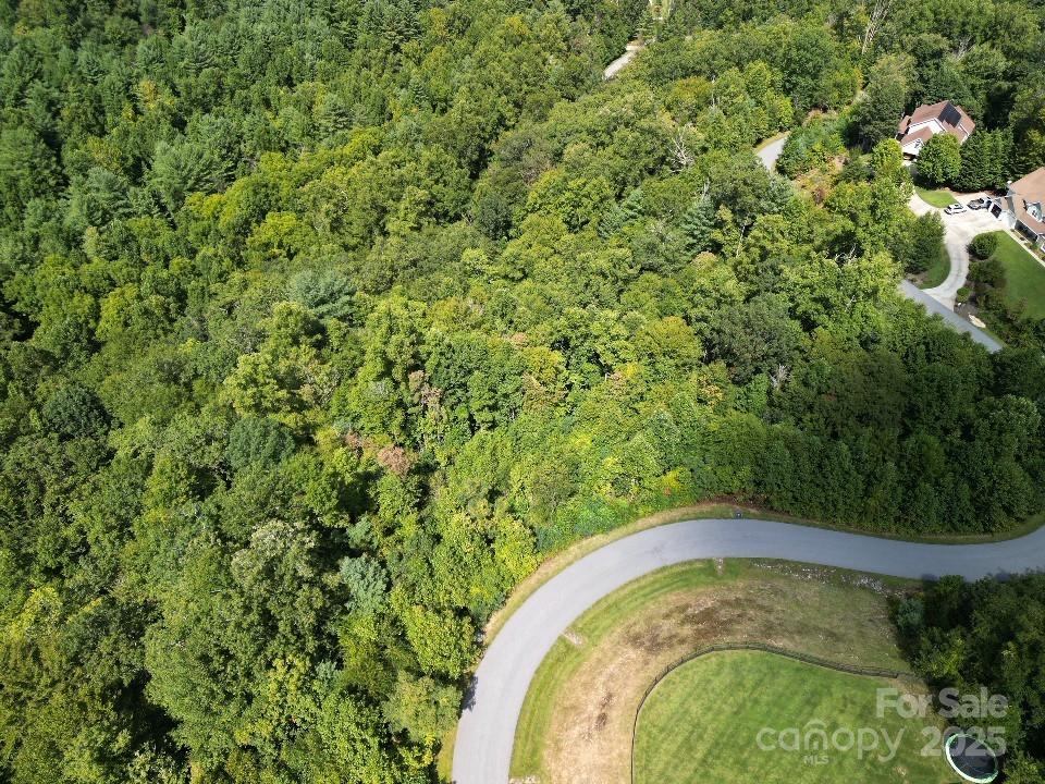 117 Sovereign Lane Fairview, NC 28730 - Photo 39 of 41 a close up of a plant in a garden