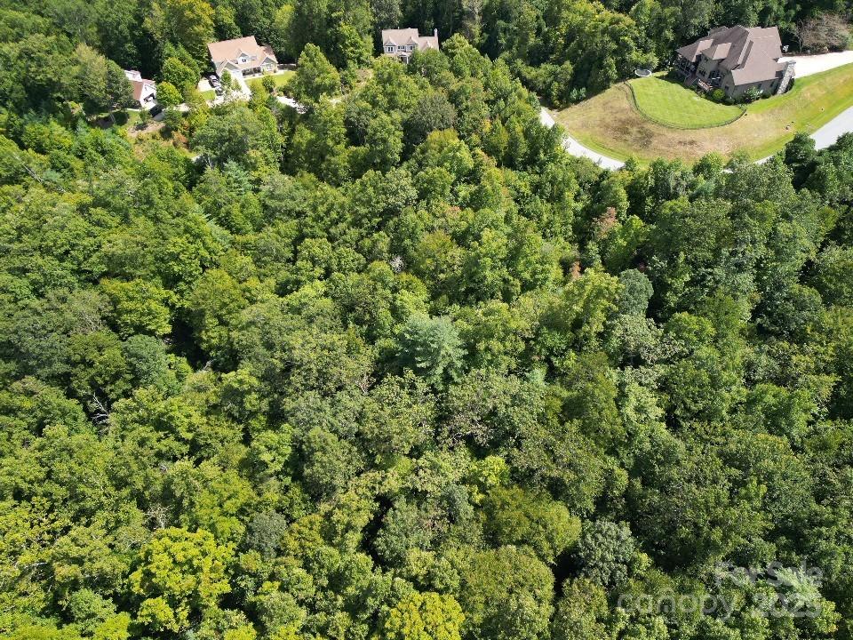 117 Sovereign Lane Fairview, NC 28730 - Photo 41 of 41 a view of a house with a street lush green forest