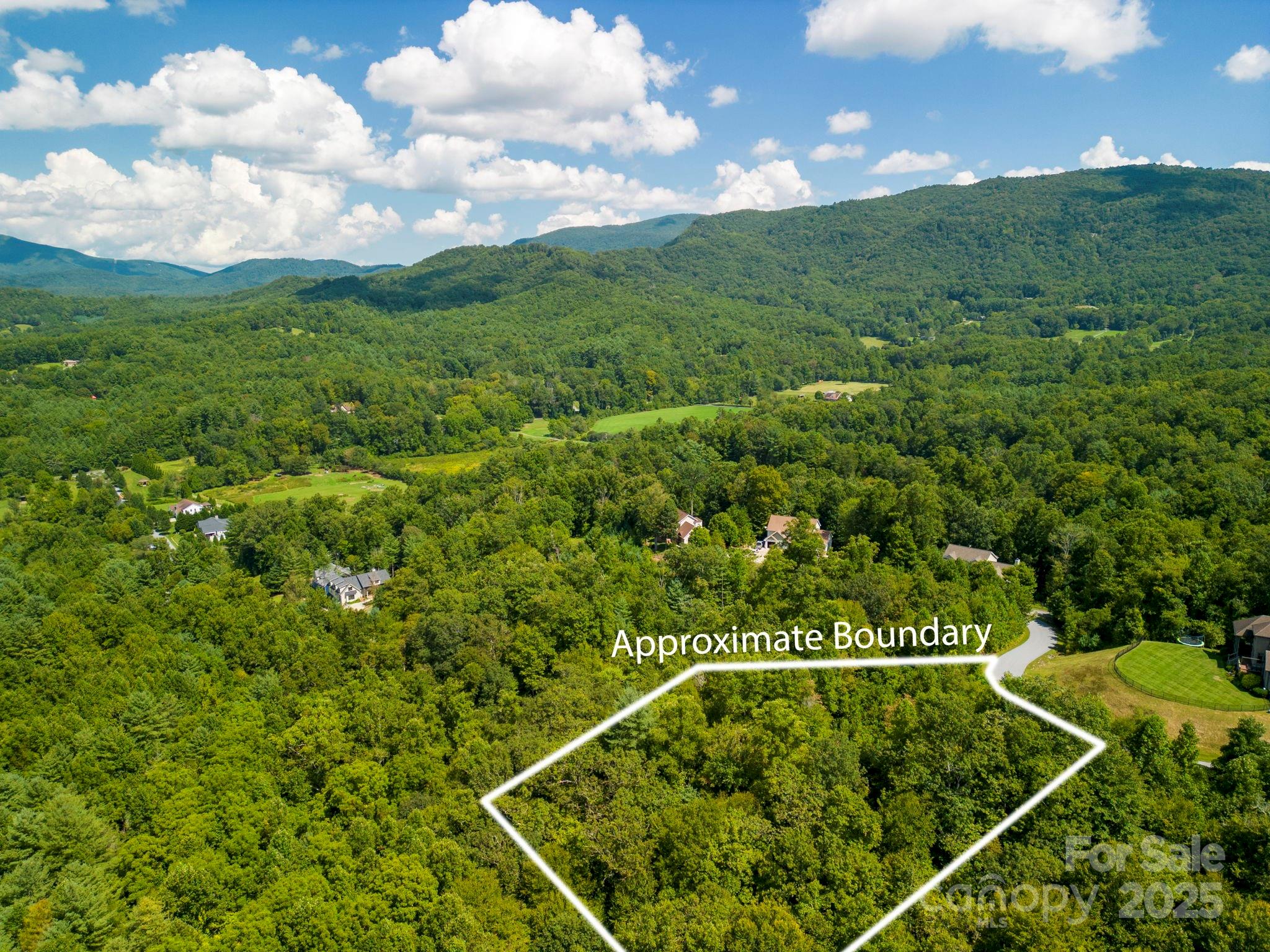 117 Sovereign Lane Fairview, NC 28730 - Photo 6 of 41 a view of a lush green forest
