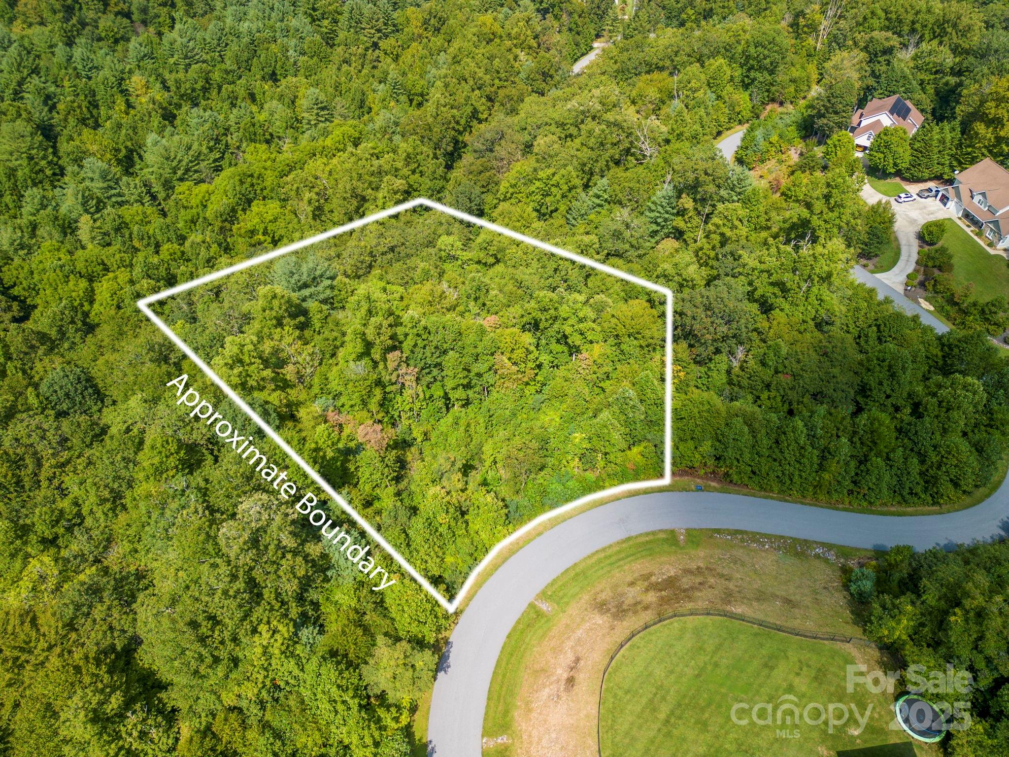 117 Sovereign Lane Fairview, NC 28730 - Photo 10 of 41 a view of a swimming pool with a plant