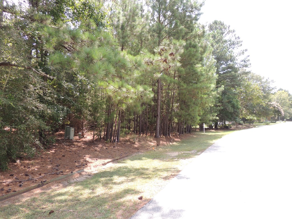 112 Ferry Cove Road Greenwood, SC 29649 - Photo 4 of 30 Gallery Image 4