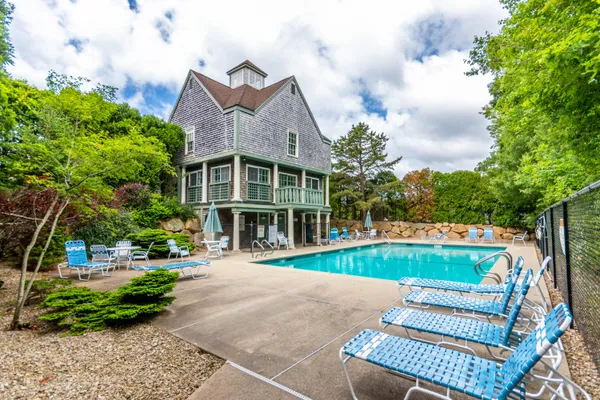 a view of a garden with plants