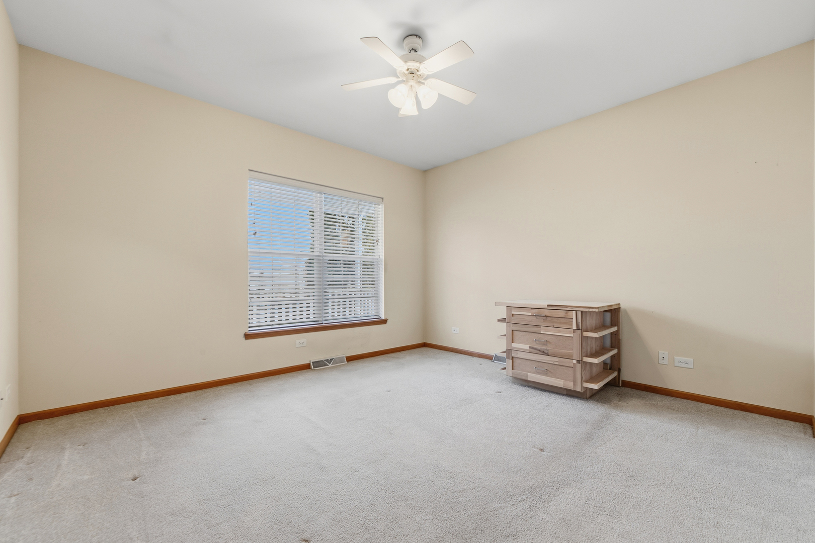 102 Hitching Post Lane Grayslake, IL 60030 - Photo 41 of 58 an empty room with windows and fan