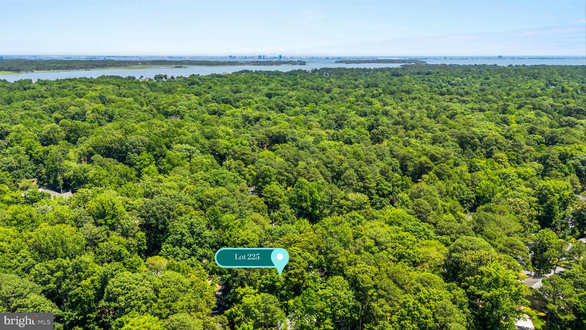 12 Moonraker Road Ocean Pines, MD 21811 - Photo 3 of 17 Serene wooded lot with water views.