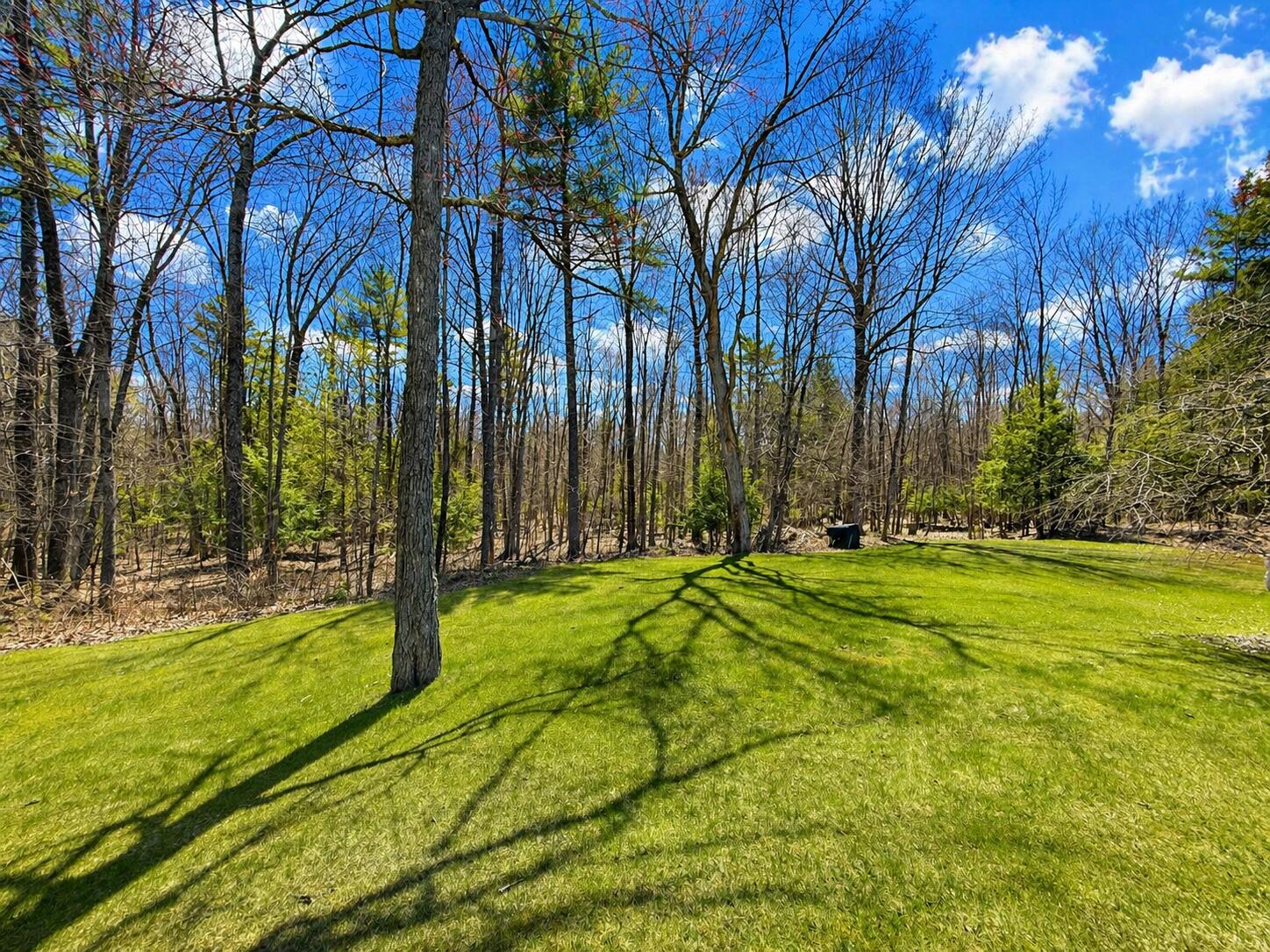 279 Fuller Road Carmel, ME 04419 - Photo 26 of 26 Back yard