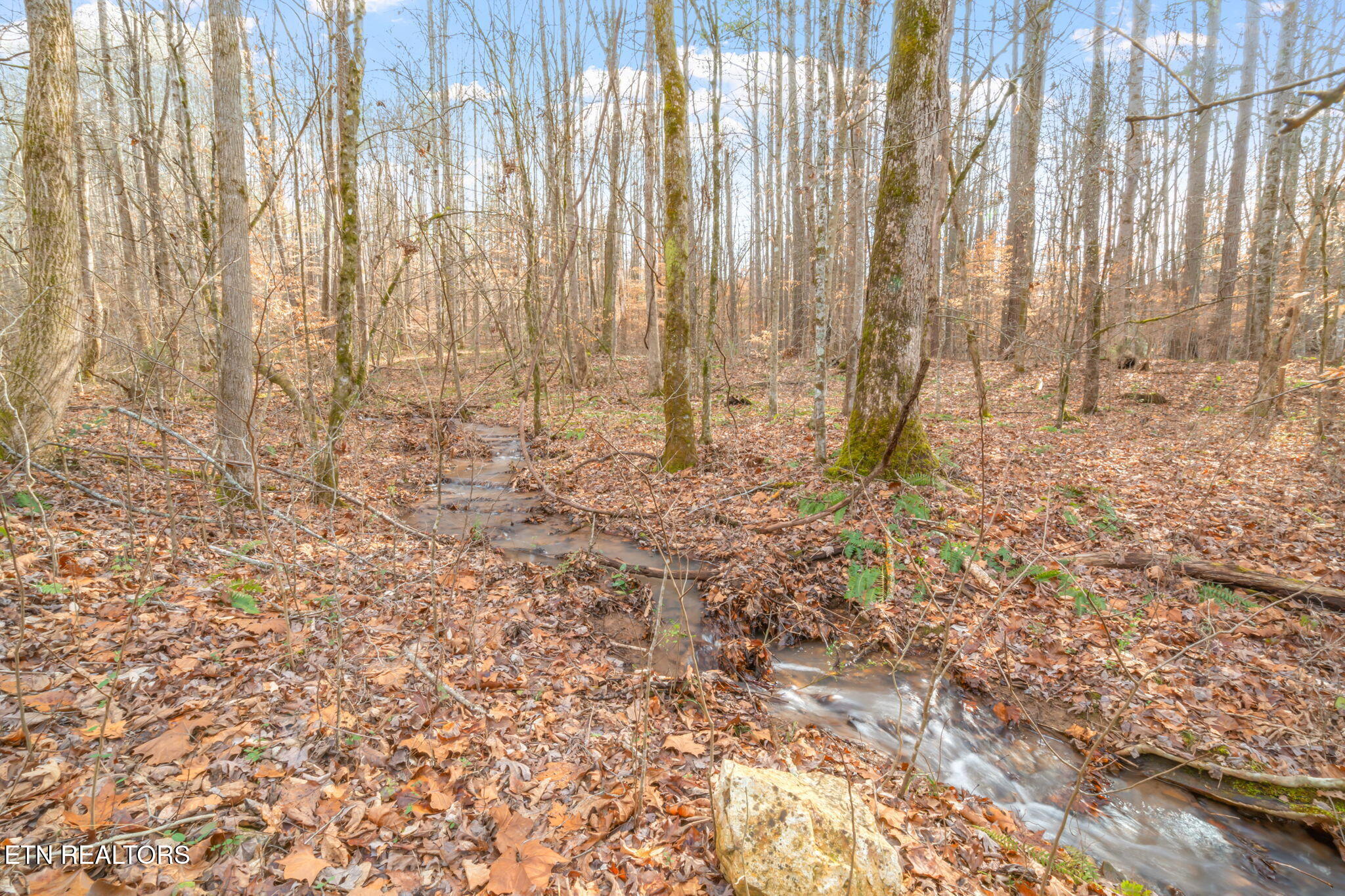 104 Highlands Road Tellico Plains, TN 37385 - Photo 35 of 48 35-web-or-mls-104 Highlands Bluff Road-3
