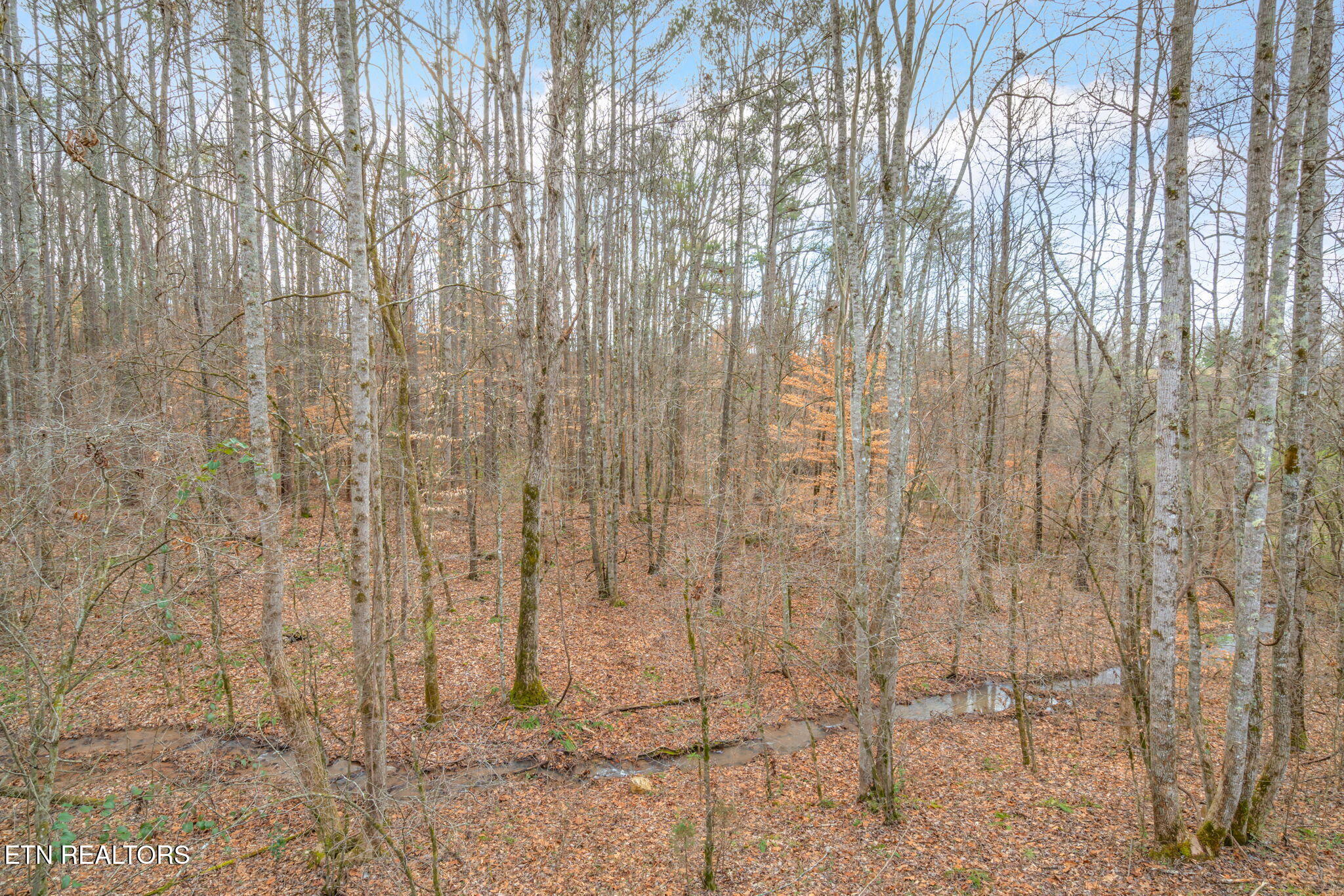104 Highlands Road Tellico Plains, TN 37385 - Photo 36 of 48 36-web-or-mls-104 Highlands Bluff Road-2