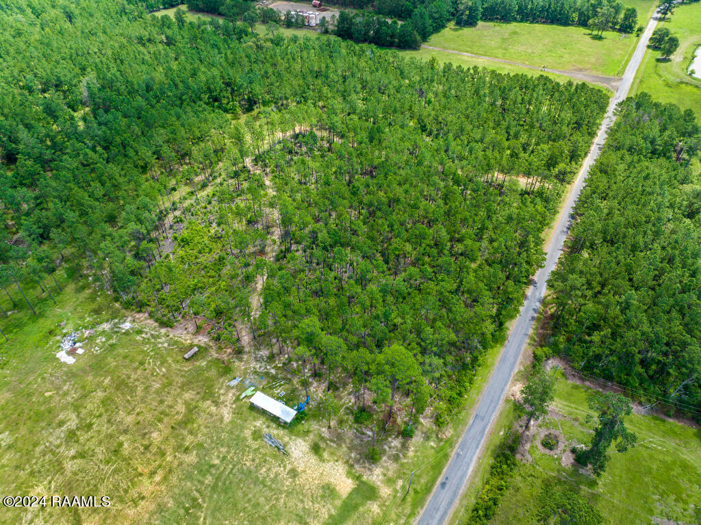 0 Horace Johnson Road Pitkin, LA 70656 - Photo 9 of 23 08