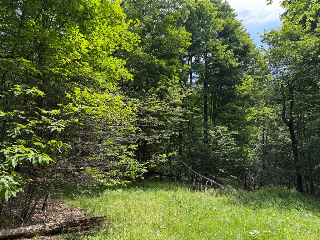 Vl 106 Road Alma, NY 14708 - Photo 6 of 36 Gallery Image 6