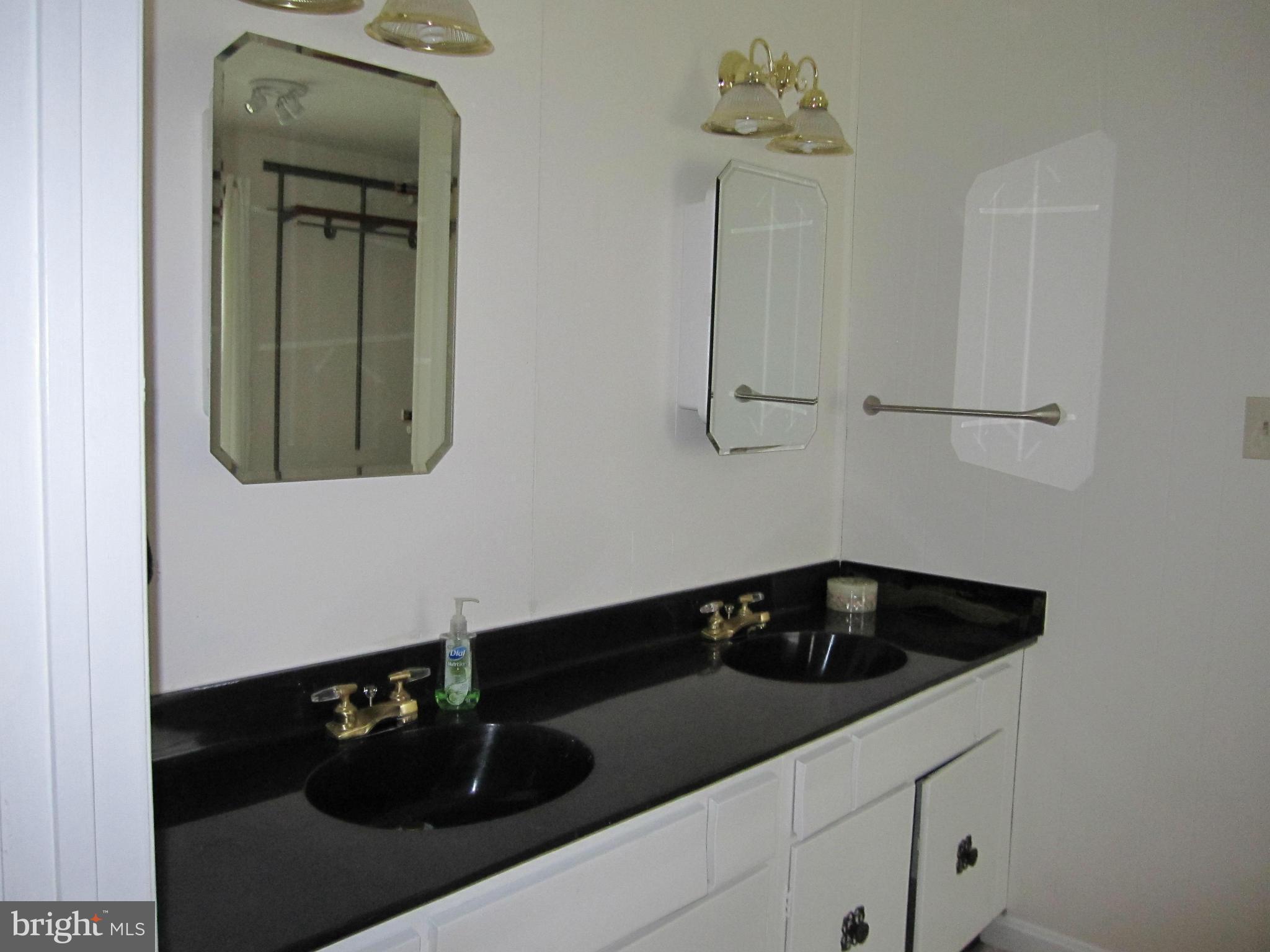 2947 Birchtree Lane Silver Spring, MD 20906 - Photo 20 of 25 Bath (Master)