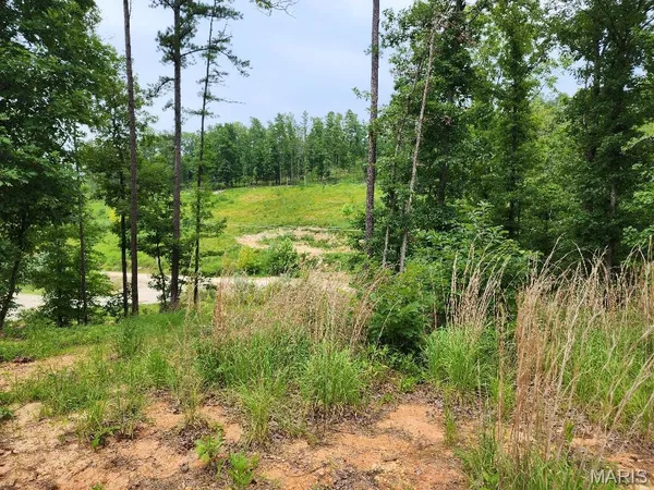 $60,000 | 300 William Street, Van Buren, MO 63965