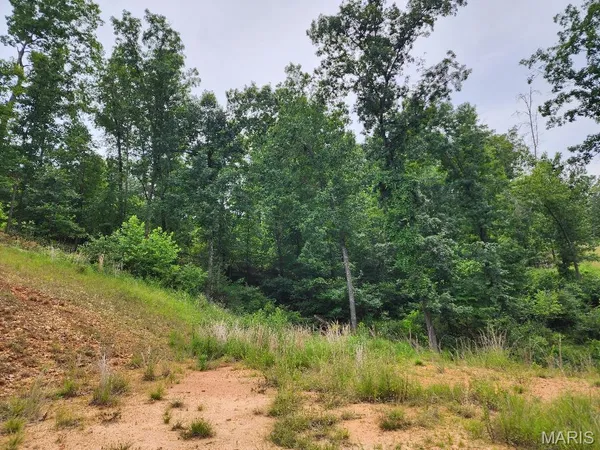 $60,000 | 300 William Street, Van Buren, MO 63965