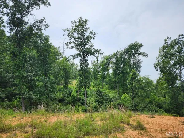 $60,000 | 300 William Street, Van Buren, MO 63965