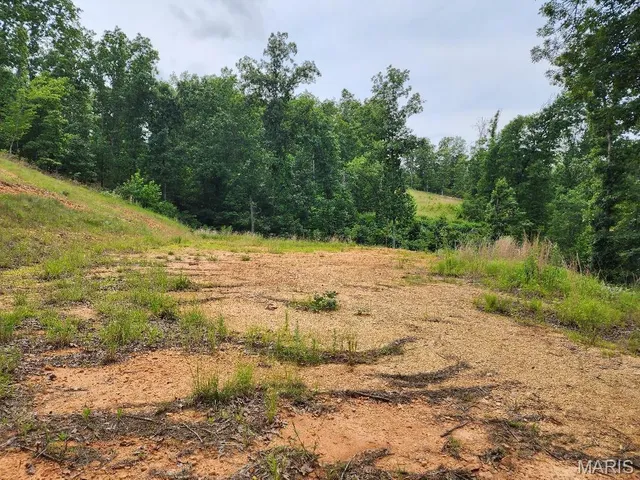 $60,000 | 300 William Street, Van Buren, MO 63965