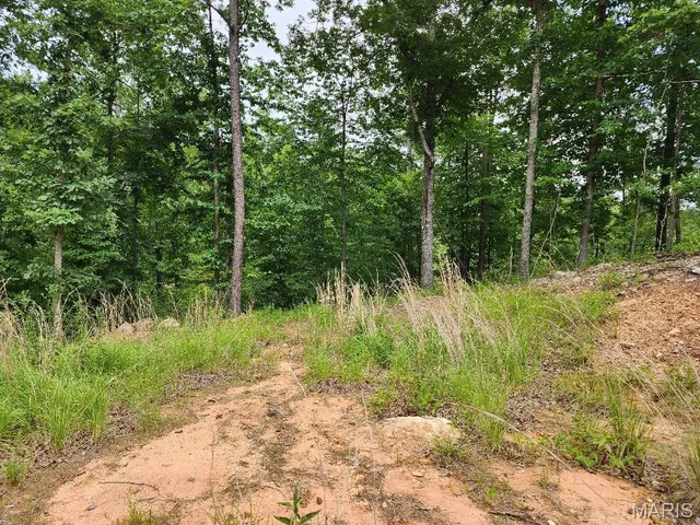 $60,000 | 300 William Street, Van Buren, MO 63965