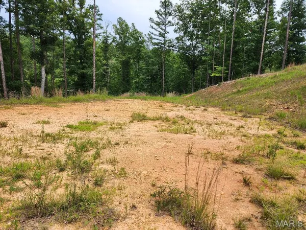 $60,000 | 300 William Street, Van Buren, MO 63965