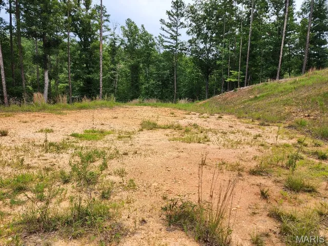 $60,000 | 300 William Street, Van Buren, MO 63965