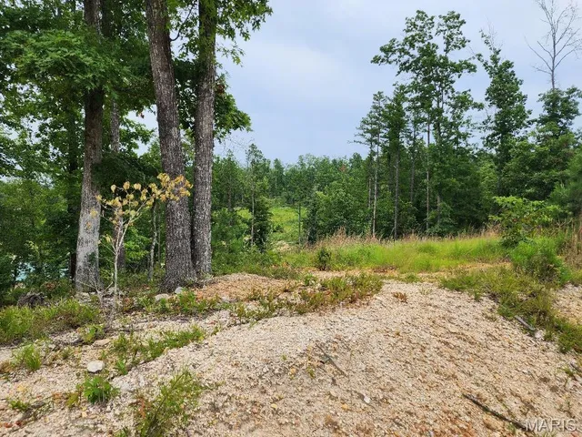 $60,000 | 300 William Street, Van Buren, MO 63965