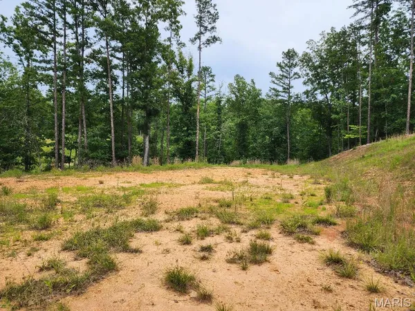 $60,000 | 300 William Street, Van Buren, MO 63965