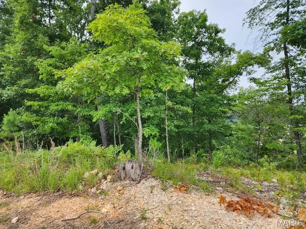 $60,000 | 300 William Street, Van Buren, MO 63965