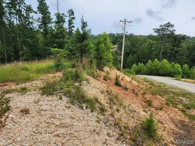 $60,000 | 300 William Street, Van Buren, MO 63965